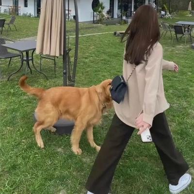 沉睡的哨兵